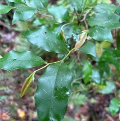 Unverified at suppressed - suppressed