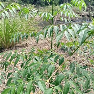 Unverified at suppressed - suppressed