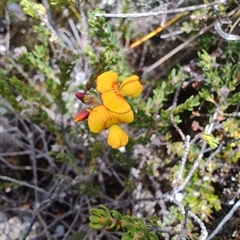 Unverified at suppressed - suppressed