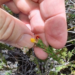 Unverified at suppressed - suppressed