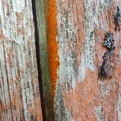 Unverified at suppressed - suppressed