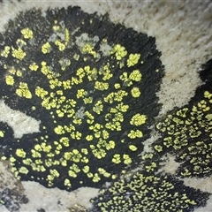 Unverified at suppressed - suppressed