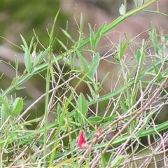 Unverified at suppressed - suppressed