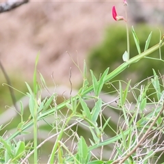 Unverified at suppressed - suppressed