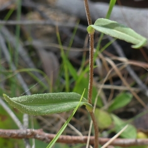 Unidentified at suppressed - 30 Oct 2024