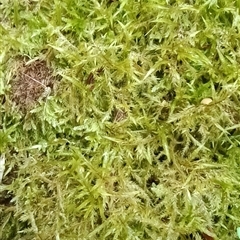 Unverified at suppressed - suppressed