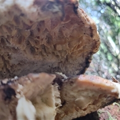 Unverified at suppressed - suppressed