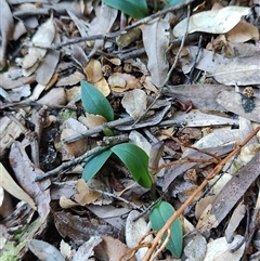 Unverified at suppressed - suppressed