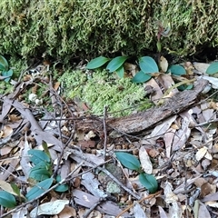 Unverified at suppressed - suppressed