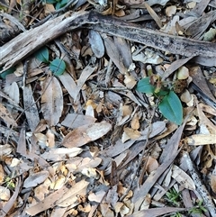 Unverified at suppressed - suppressed