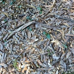 Unverified at suppressed - suppressed