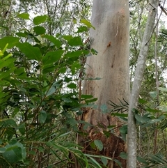 Unverified at suppressed - suppressed