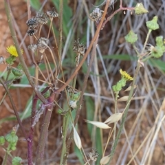 Unidentified at suppressed - 10 Nov 2024