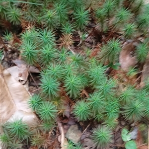 Unverified at suppressed - suppressed