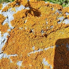 Unverified at suppressed - suppressed