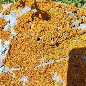 Unverified at suppressed - suppressed