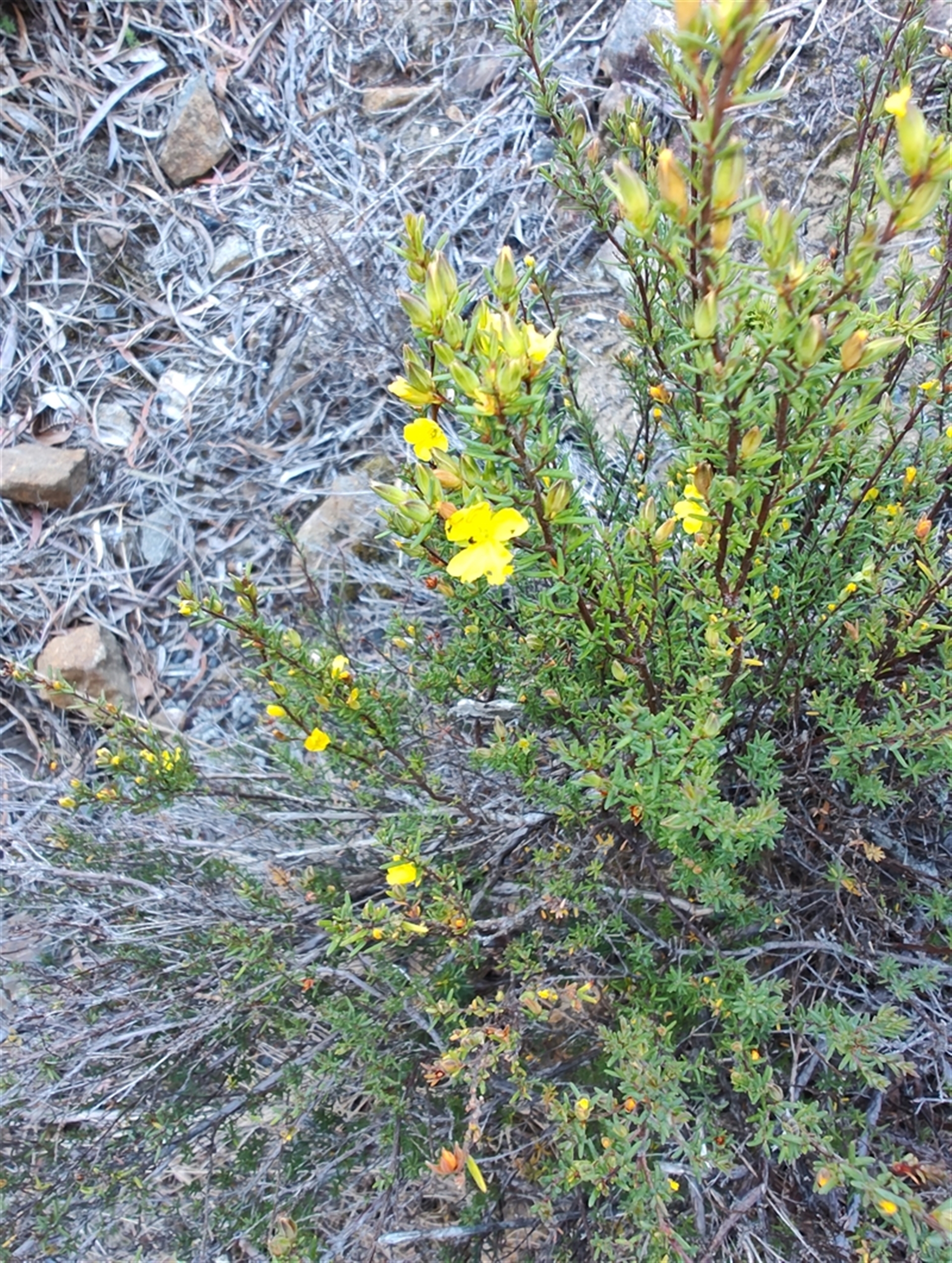 Unverified at suppressed - suppressed