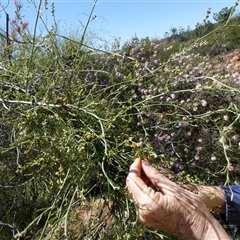 Unverified at suppressed - suppressed