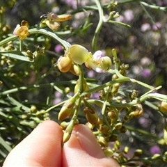 Unverified at suppressed - suppressed