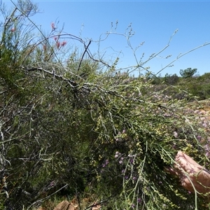 Unverified at suppressed - suppressed