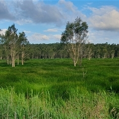 Unverified at suppressed - suppressed