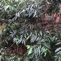 Unverified at suppressed - suppressed