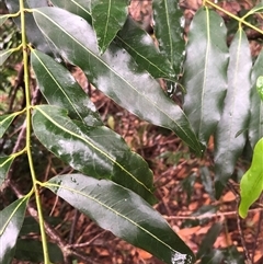 Unverified at suppressed - suppressed