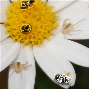 Unverified at suppressed - suppressed