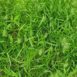 Unverified at suppressed - suppressed