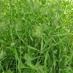 Unverified at suppressed - suppressed