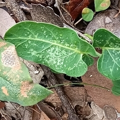 Unverified at suppressed - suppressed