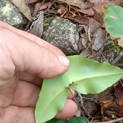 Unverified at suppressed - suppressed