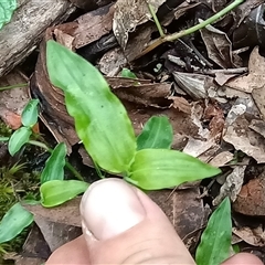 Unverified at suppressed - suppressed