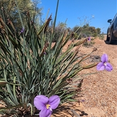 Unverified at suppressed - suppressed