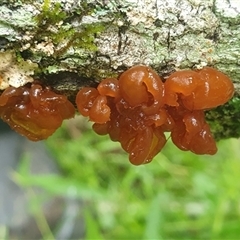 Unverified at suppressed - suppressed