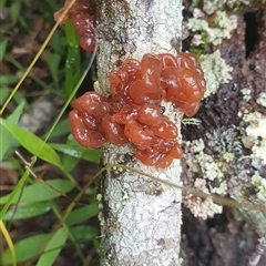 Unverified at suppressed - suppressed