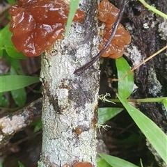 Unverified at suppressed - suppressed