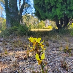 Unverified at suppressed - suppressed