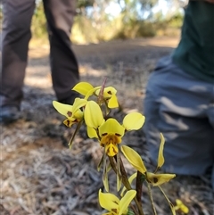 Unverified at suppressed - suppressed