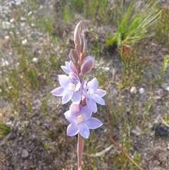 Unverified at suppressed - suppressed