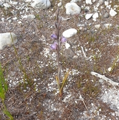 Unverified at suppressed - suppressed