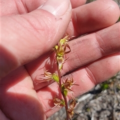 Unverified at suppressed - suppressed