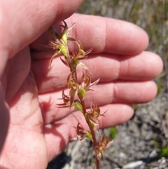 Unverified at suppressed - suppressed