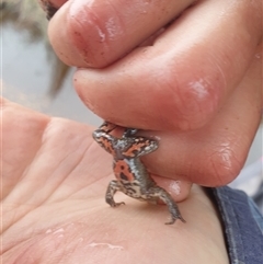 Unverified at suppressed - suppressed