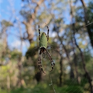 Unidentified at suppressed - 21 Nov 2024