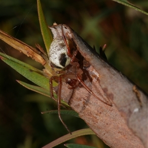 Unidentified at suppressed - 29 Jul 2020