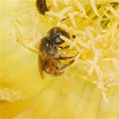 Unverified at suppressed - suppressed