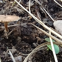 Unverified at suppressed - suppressed