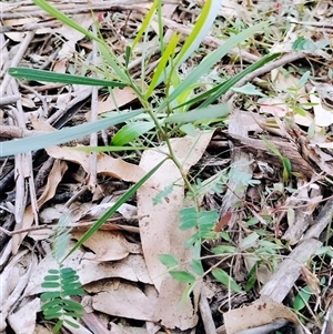 Unverified at suppressed - suppressed