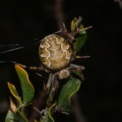 Unverified at suppressed - suppressed